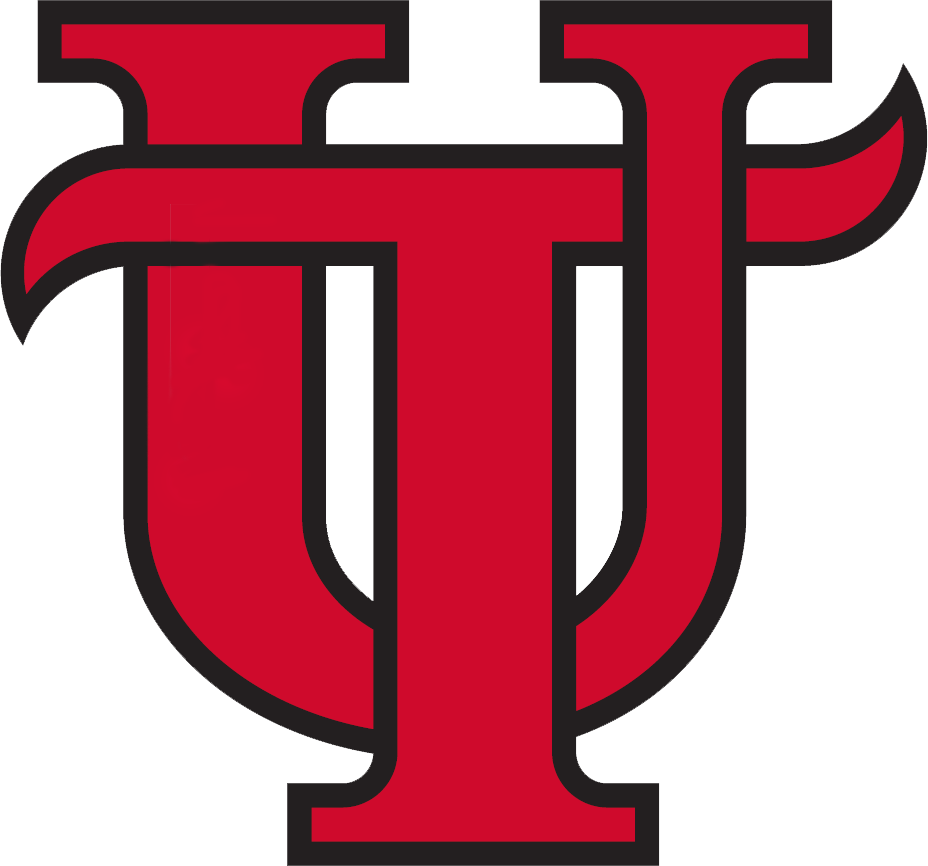 Tampa logo diy iron on heat transfer